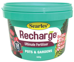 Recharge Pots & Gardens 500gm Tub 500g
