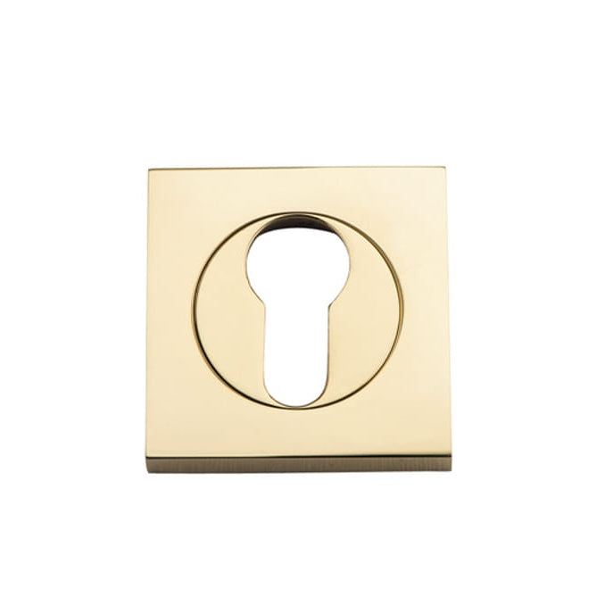 Escutcheon Euro Concealed Fix Square Pair Polished Brass