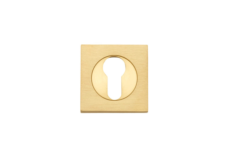 Escutcheon Euro Concealed Fix Square Pair Brushed Brass
