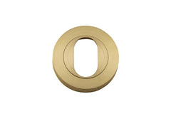 Escutcheon Oval Round Pair Brushed Brass