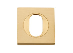 Escutcheon Oval Square Pair Brushed Brass