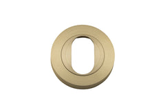 Escutcheon Oval Round Pair Brushed Brass D52xP10mm