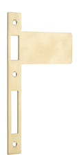 Extended Striker Polished Brass CTC85mm H198xW122mm