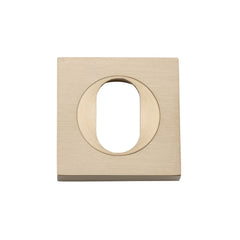 Escutcheon Oval Square Pair Brushed Brass H52xW52xP10mm