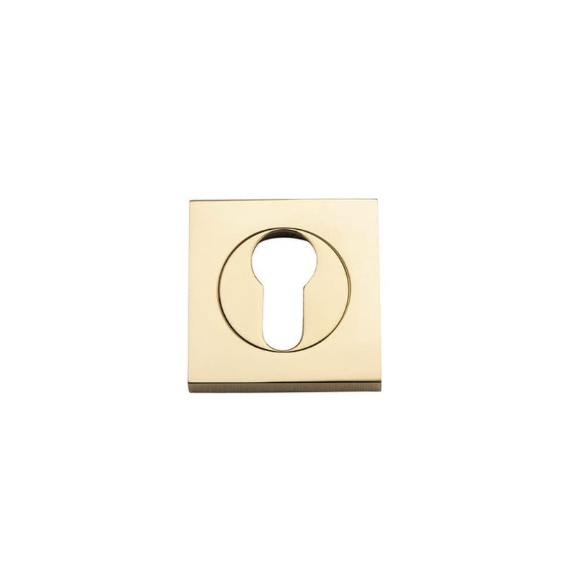 Escutcheon Euro Concealed Fix Square Pair Polished Brass