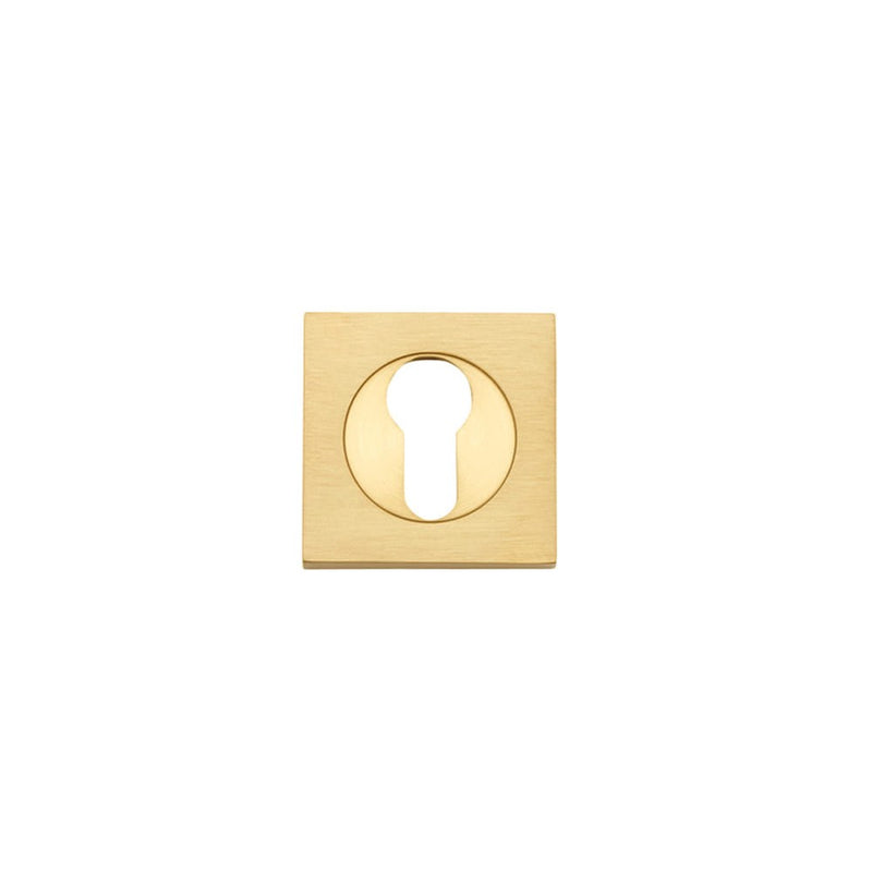 Escutcheon Euro Concealed Fix Square Pair Brushed Brass