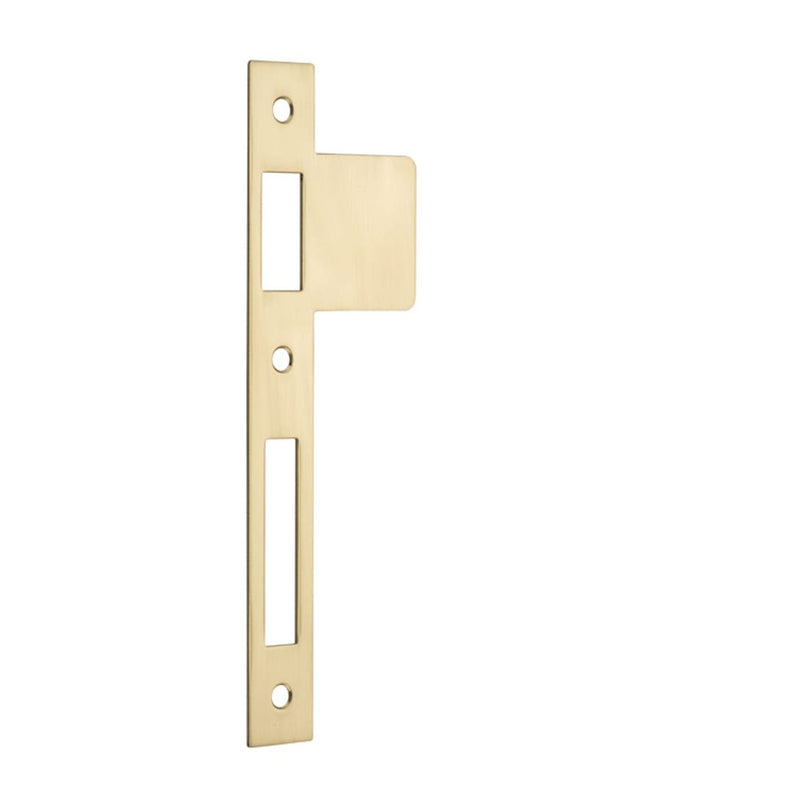 Extended Striker Polished Brass CTC85mm H198xW63mm