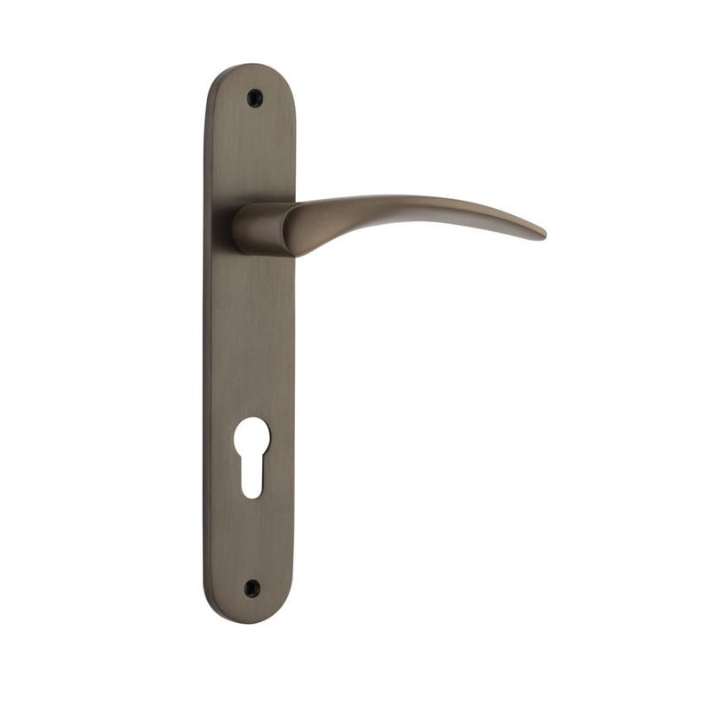 Door Lever Oxford Oval Euro Signature Brass