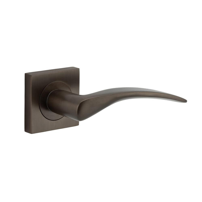 Door Lever Oxford Square Rose Signature Brass