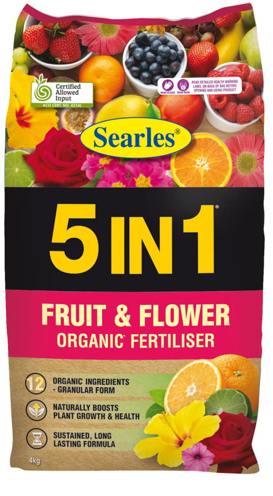 5INFF4
