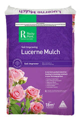 Lucerne