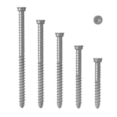 Deck Screw 5.5 x 60 S2 304SS TX20 Pk500