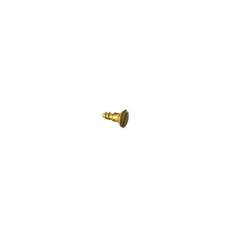 Screw Timber CSK 1g x 6mm Slot Brass Each
