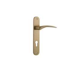 Door Lever Oxford Oval Euro Brushed Brass